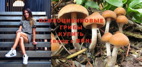 дурь Надым