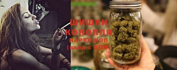 дурь Надым